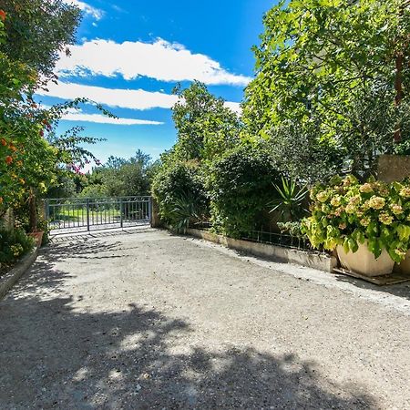Apartments With A Parking Space Gradac, Makarska - 14708 Esterno foto