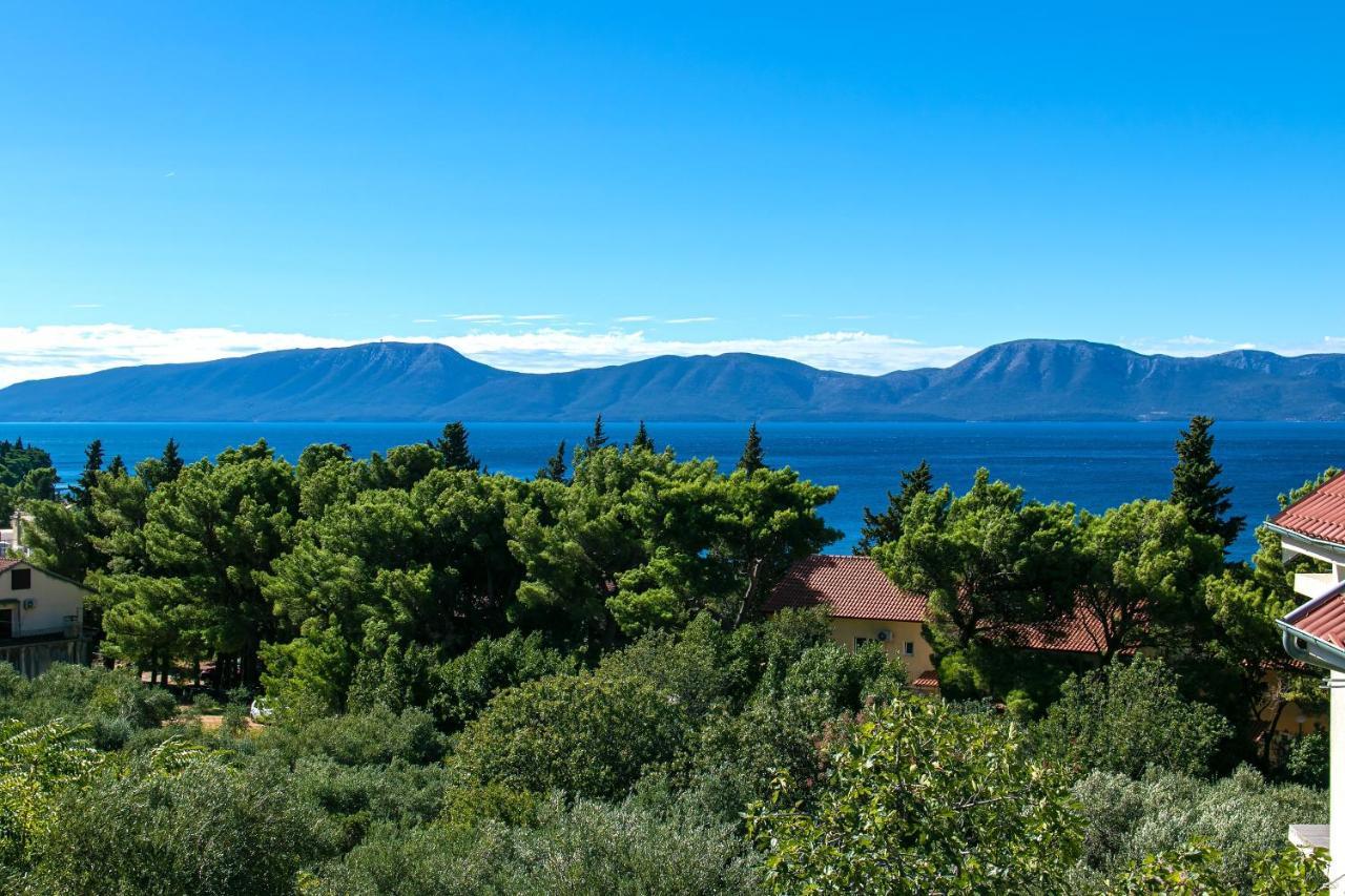 Apartments With A Parking Space Gradac, Makarska - 14708 Esterno foto